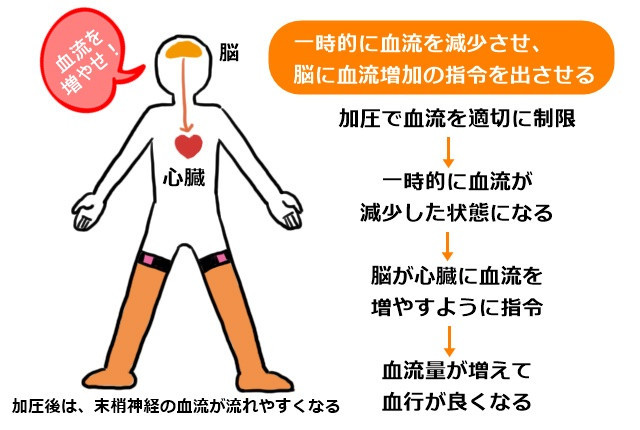 加圧トレーニング